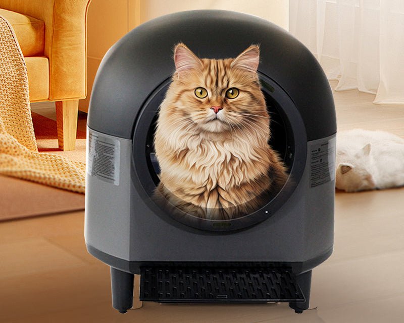 Offene smarte Katzentoilette OEM product image 4